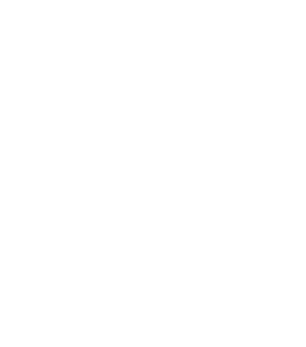 Логотип Vagardis